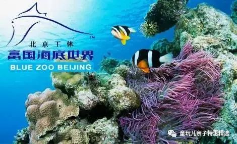 新澳门六开彩开奖结果2020年|探寻城市里的美食秘密_粉丝版7.113