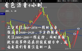 澳门正版全年资料期期准|科学数据解释落实_钻石品.2.339