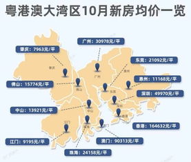 2024年新奥门免费资料大乐透|探索澳门的无限魅力与精彩活动_精简版IOS.6.502