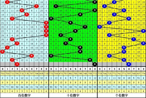 5码中特期期准免费公开|高效解答解释落实_清晰版.8.241