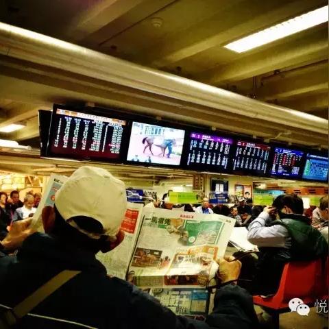 香港买马生肖图号码对照表|理论依据解释落实_手机集.0.690