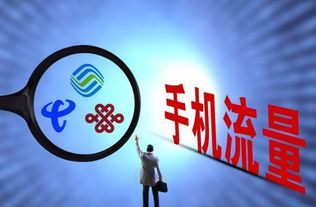 2024年王中王澳门免费大全|收益成语分析落实_XT.6.533