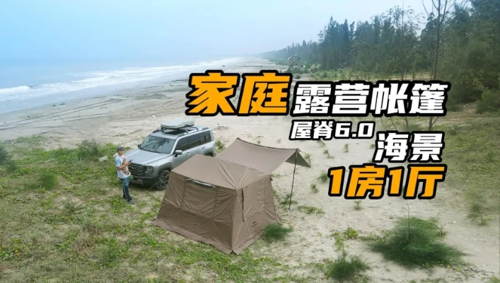 2024年新澳资料大全免费|现象解答解释落实_GM版3.773