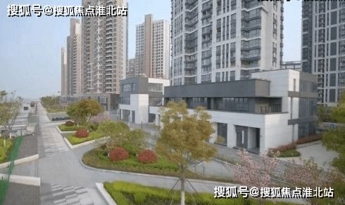 澳门最近15期的开奖号码|理论依据解释落实_梦幻版5.559