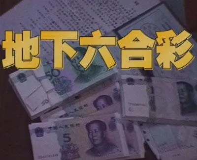 白小姐六肖期期准选一肖|最新解答解释落实_停止版.0.911