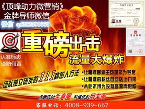 管家婆资料精准正版大全功夫茶|探寻城市里的美食秘密_小巧版.9.617
