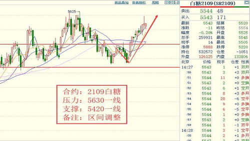 335期特马资料|现状解答解释落实_R.6.284